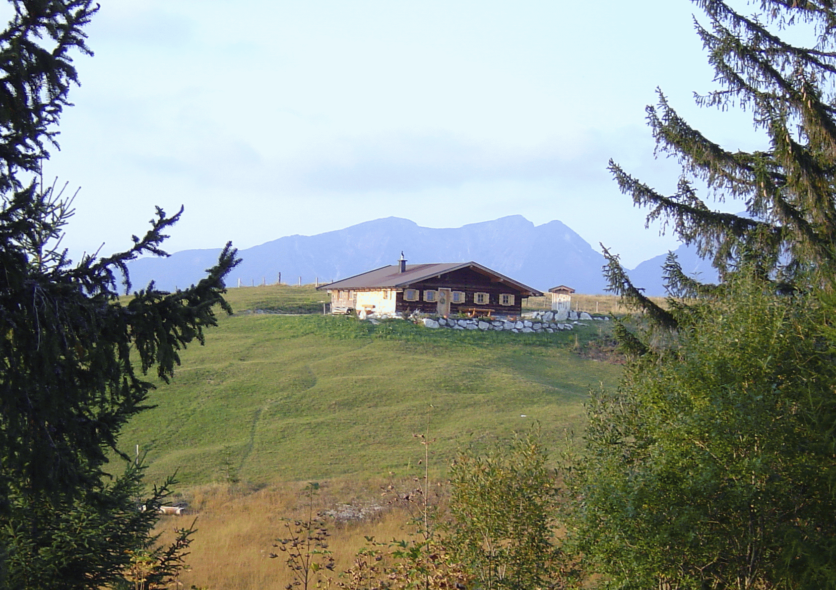 Yoga auf der Alm